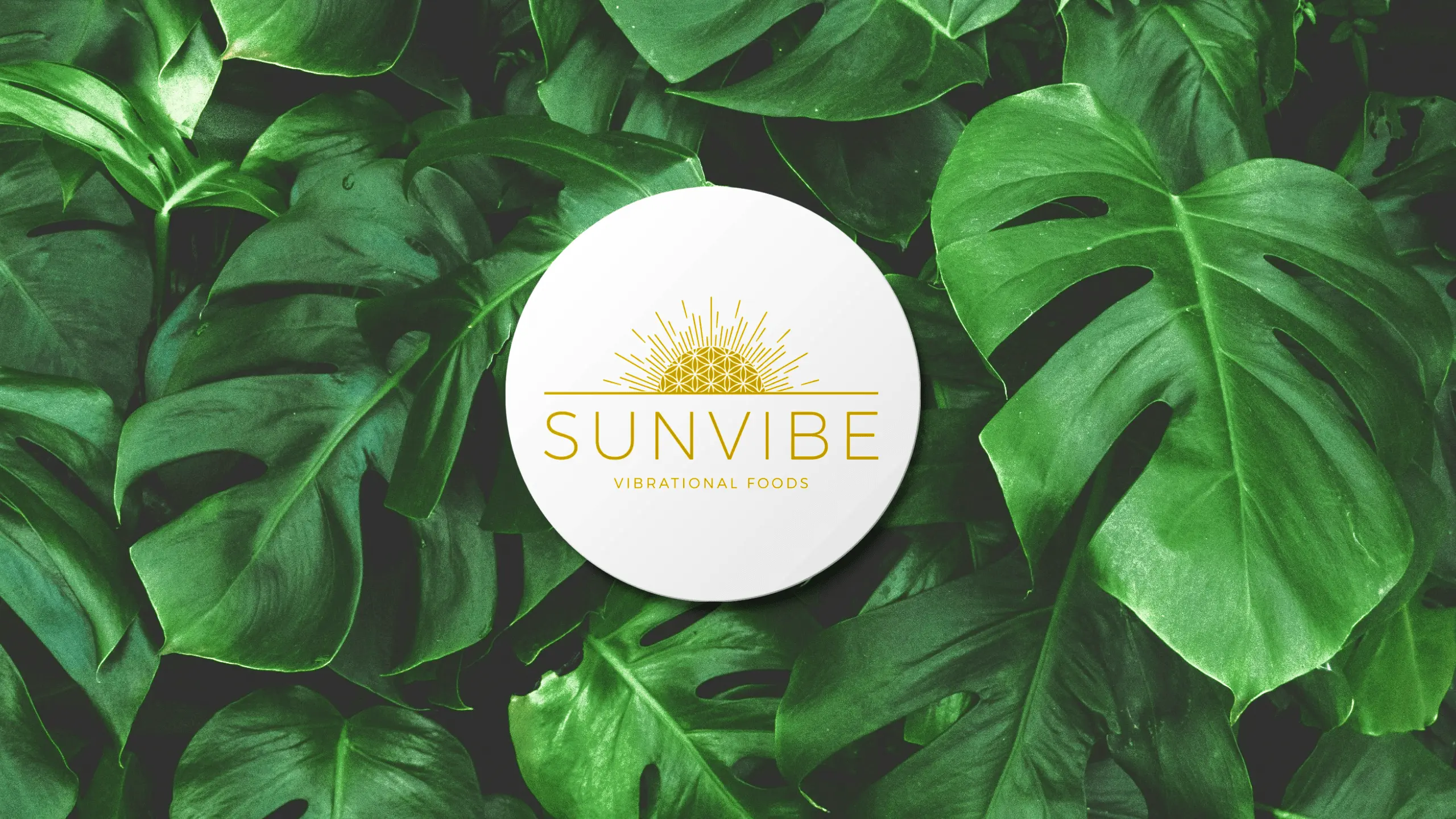 Sunvibe